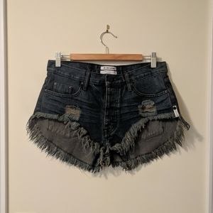 One Teaspoon Low Rise Denim Shorts
